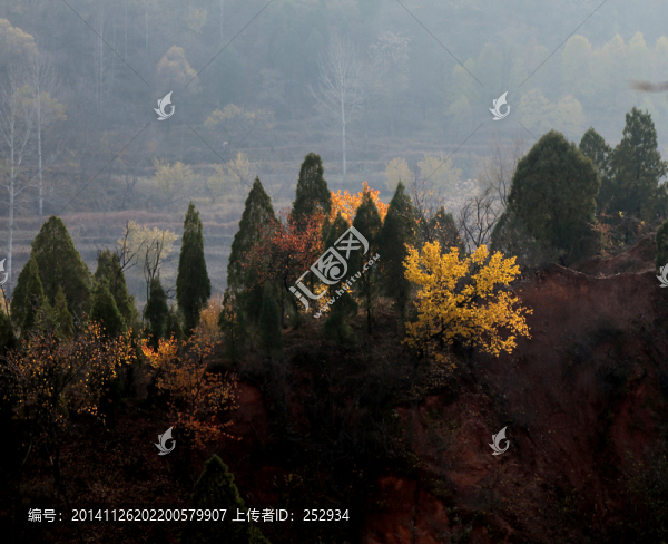 秋天的風景