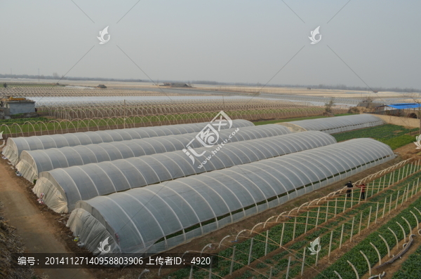蔬菜大棚
