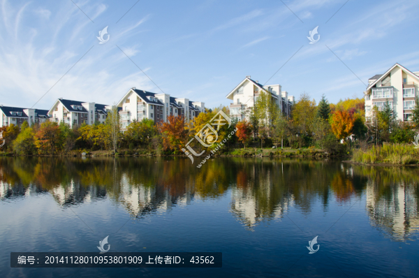 河景,住宅,別墅