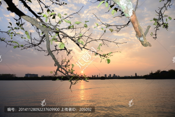黃昏