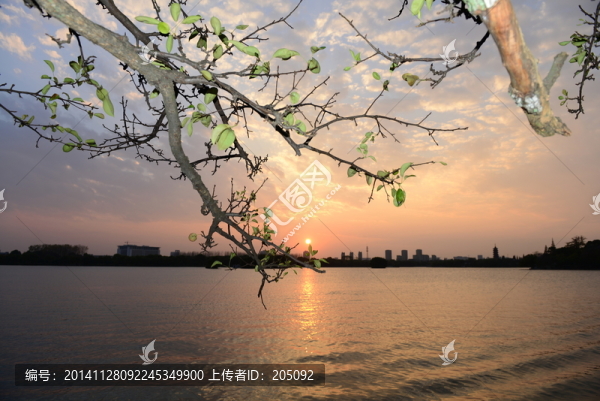 黃昏