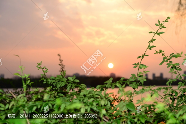 黃昏