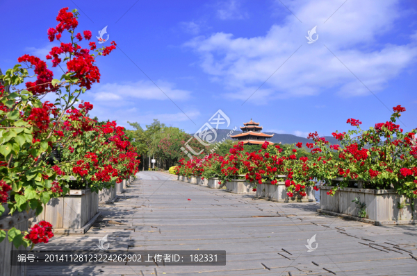 花道