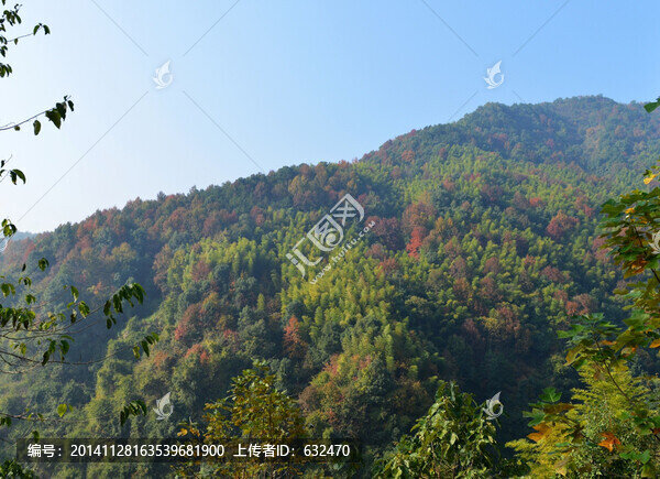 秀美山林