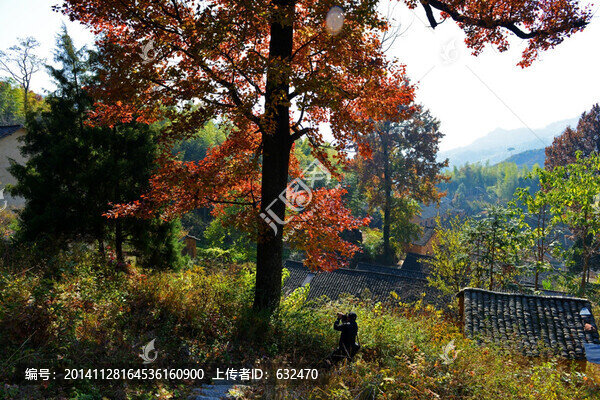 商子垸村頭