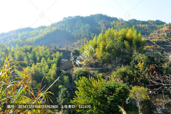 柳林初冬美景