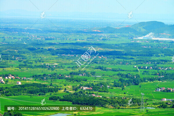 東山看黃梅勝景