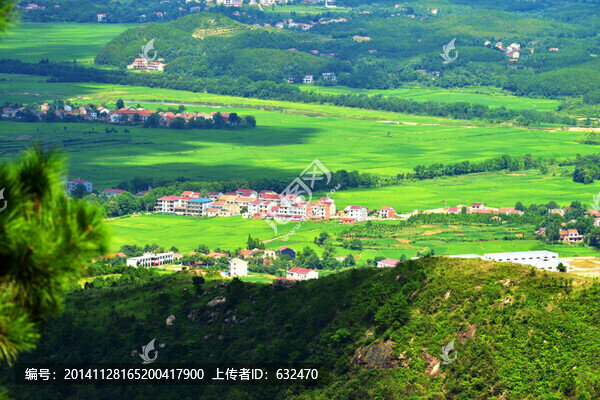 黃梅景色