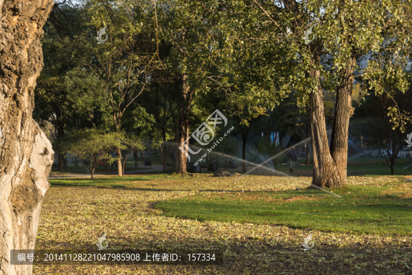 古都北京綠化景觀