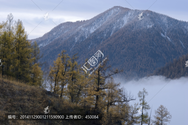 野云飄飄的金秋山谷