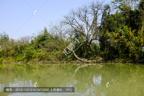 西溪濕地