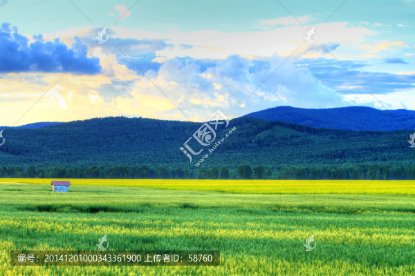 田野風(fēng)光