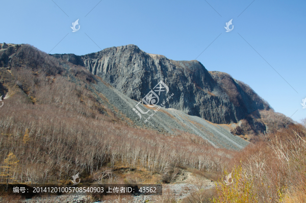 長(zhǎng)白山,森林,地理,地貌