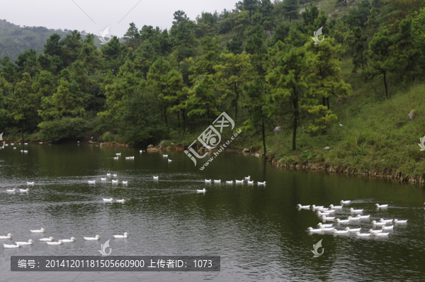 悠悠山水情