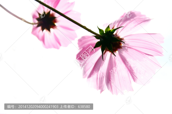 格?；ㄌ貙? title=
