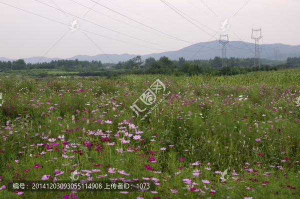 滁州城郊生態(tài)農業(yè)觀光園