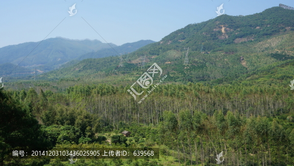 林場(chǎng),山林
