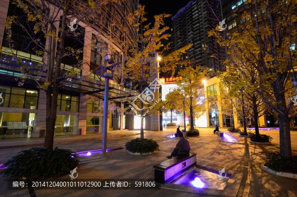 昆明街頭銀杏夜景