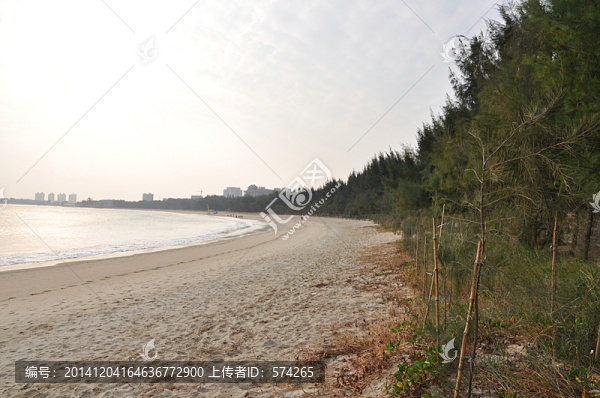 海岸線