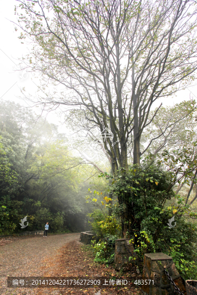 山路