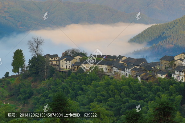 安徽,休寧縣,高山古村落,木梨