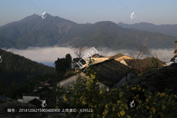 安徽,休寧縣,高山古村落,木梨