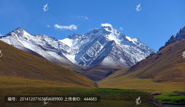 新疆雪山