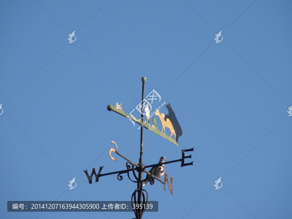 英國(guó)諾丁漢大學(xué)SB校區(qū)內(nèi)的風(fēng)標(biāo)