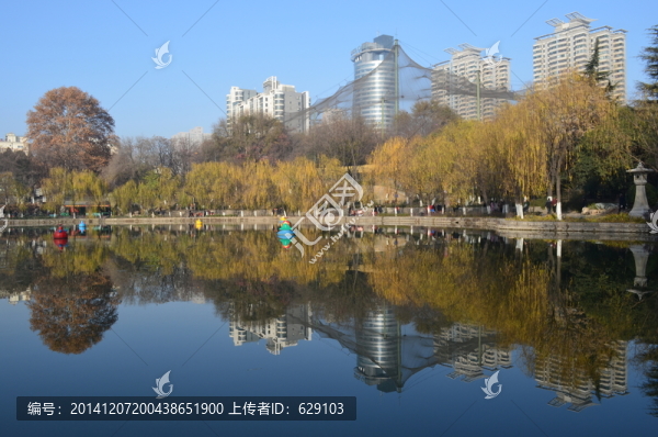 興慶湖美景