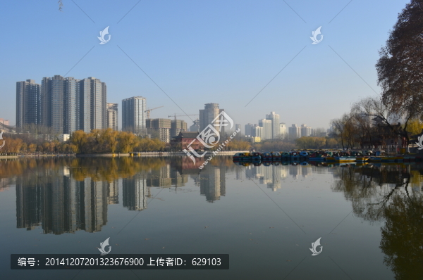 興慶湖美景