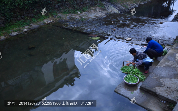 村民洗菜