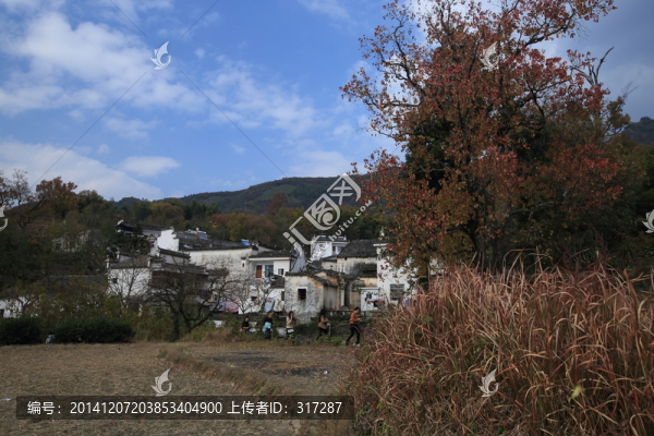 秋天的山林