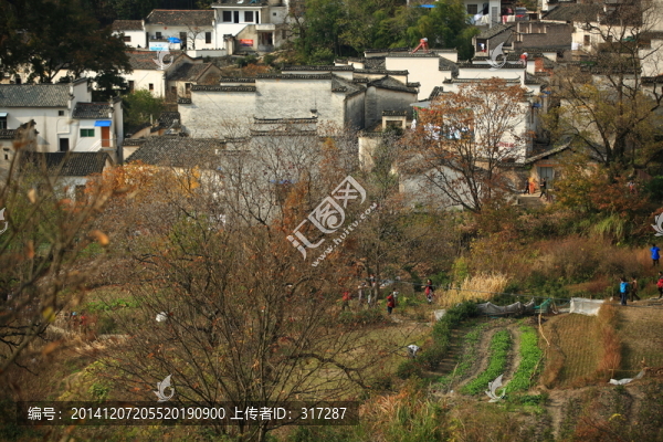 塔川的秋天