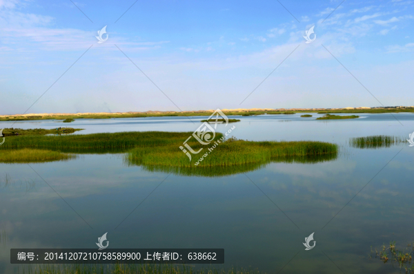 濕地