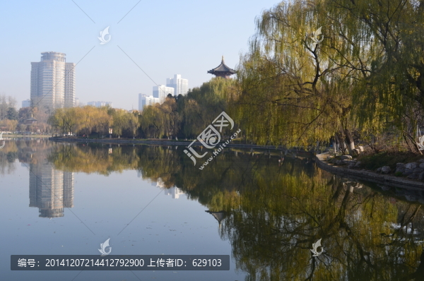 興慶湖美景