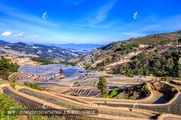 元陽梯田