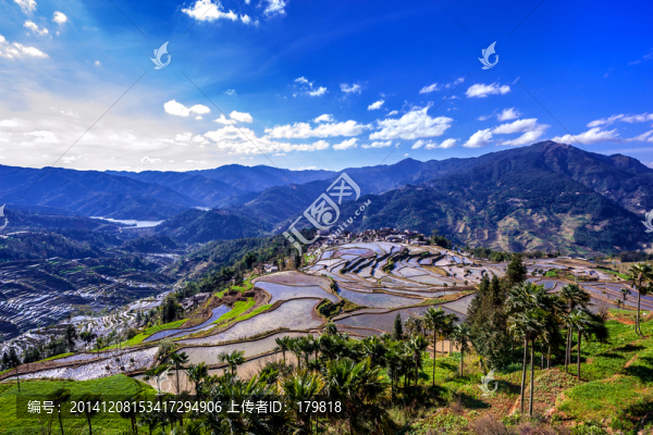甲寅梯田