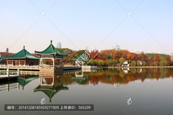梨園秋色