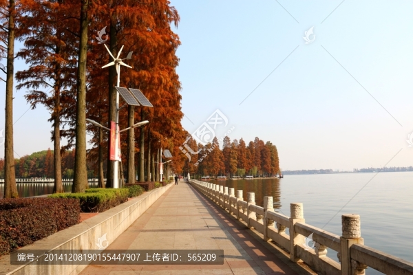 梨園秋色