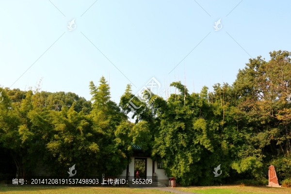 梨園秋色