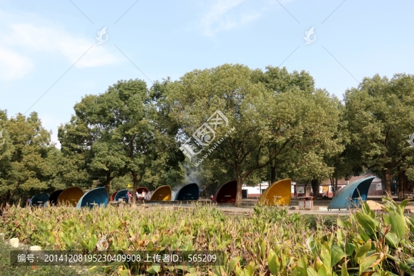 森林公園風(fēng)景