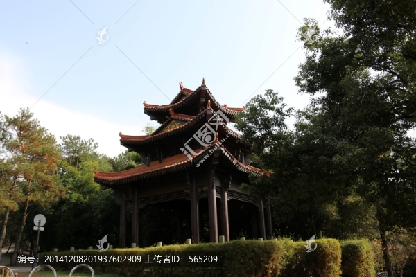 森林公園風(fēng)景
