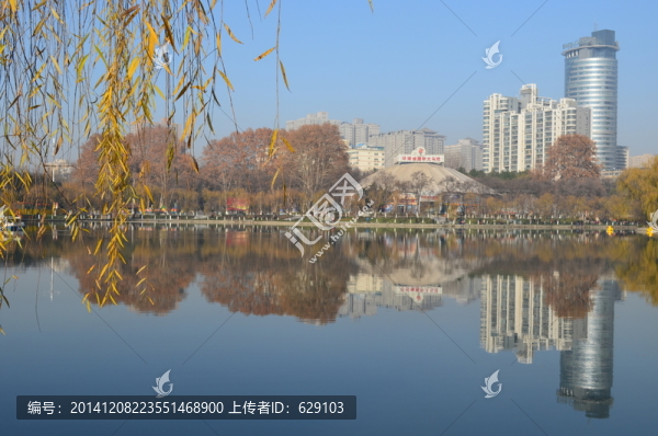 房影一體