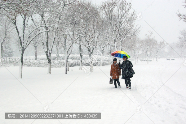 雪地