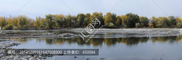 額爾齊斯河秋色