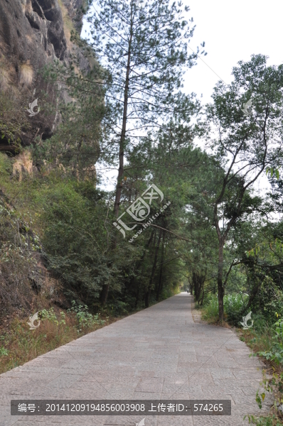 路