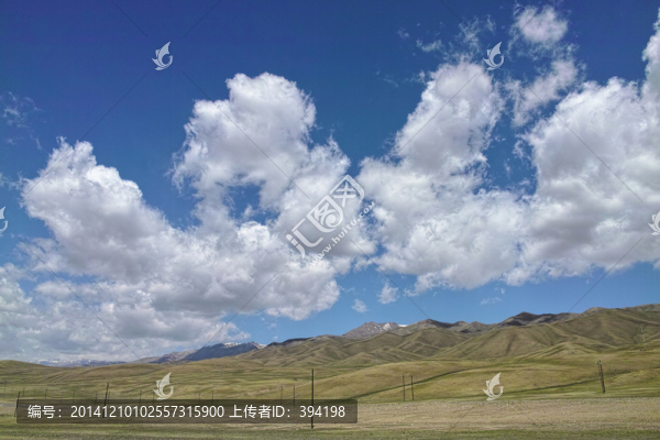 新疆巴音布魯克草原