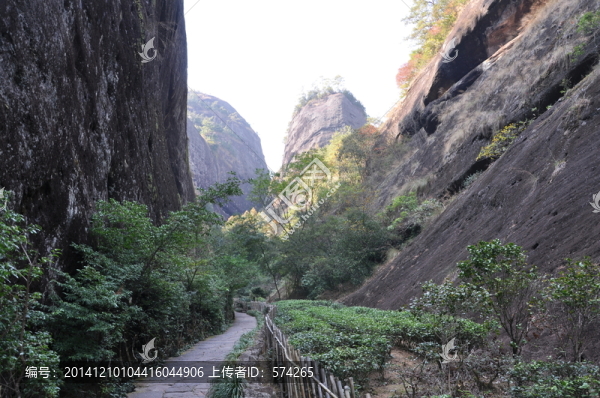彎曲的小路