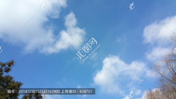 樹木上空的藍(lán)天白云