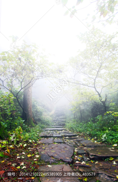 山路